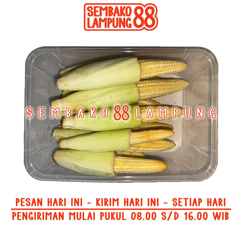 

Soleng / Jagung Muda 250 Gr | Sembako Lampung 88