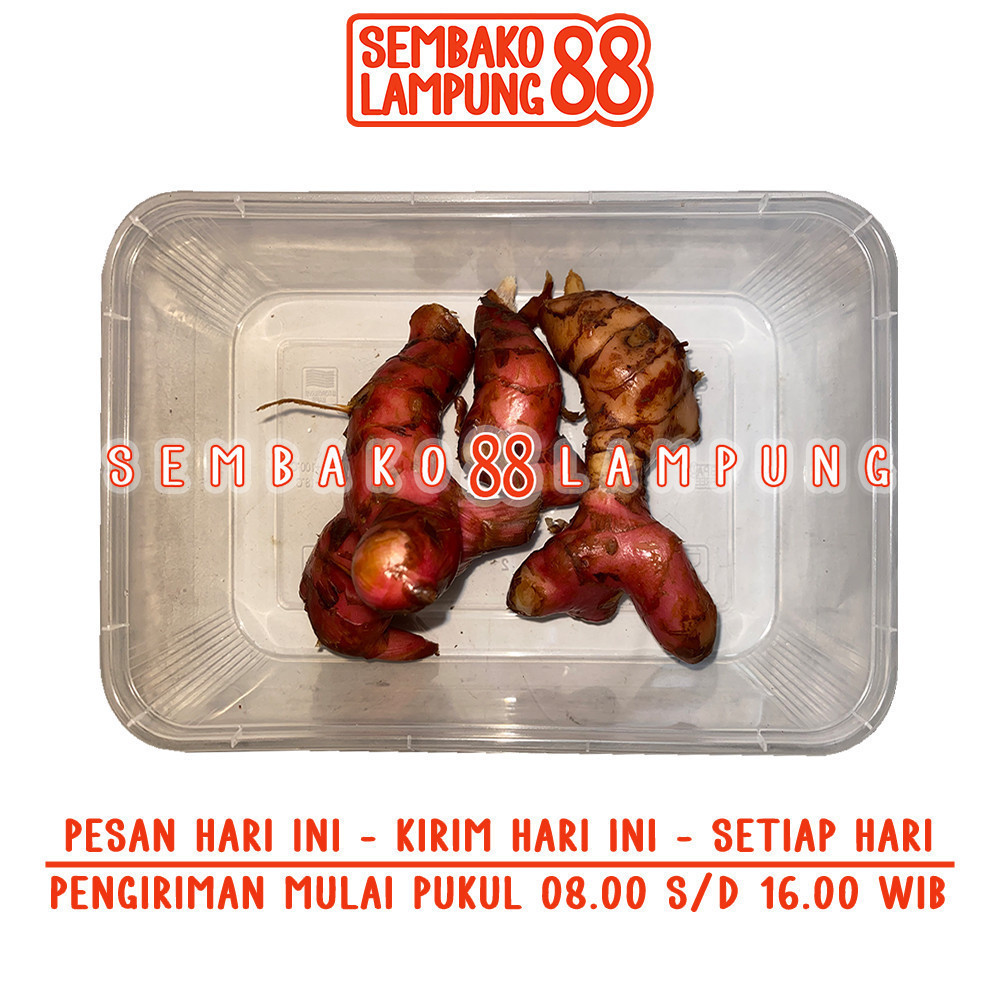 

Lengkuas 100 Gr | Sembako Lampung 88
