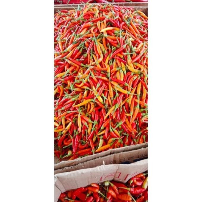 

TERMURAH Bawang Putih 250 Gr + Bawang Merah 250 Gr Bonus Cabe 150Gr - Shuffel BAGUS