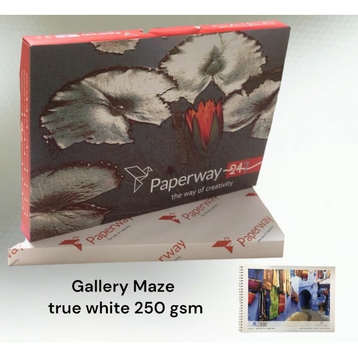 

Kertas Fancy A3+ Gallery Maze True White /