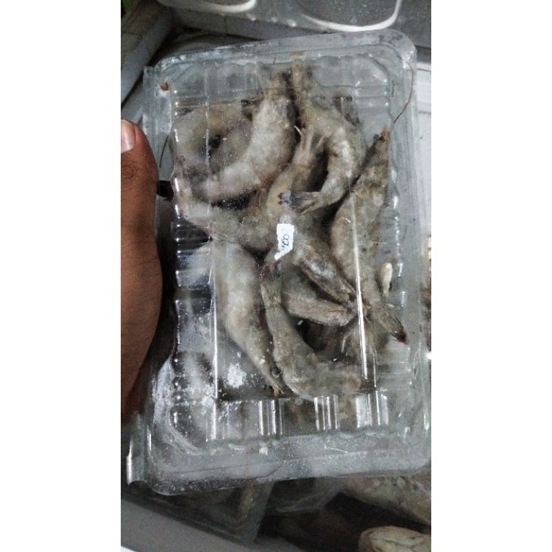 

seafood beku