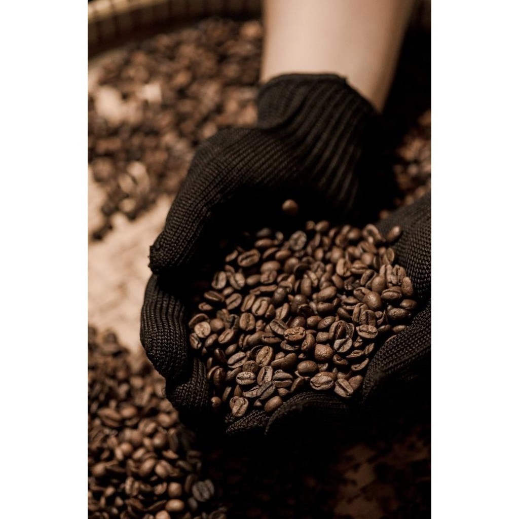 

1000 Gr 1 Kg Biji Kopi / Coffee Beans Premium 100% Arabica Timor Leste