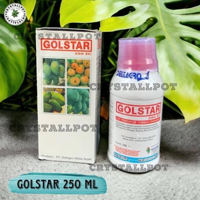 pupuk hormon ZPT GOLDSTAR 250 ml - mempercepat pembuahan