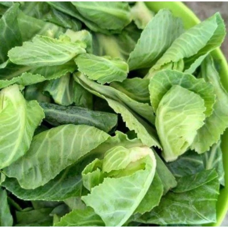 

Keciwis Sayur Segar 250 gr