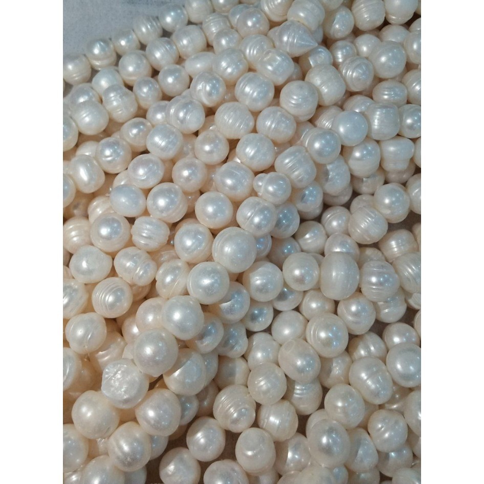 

] FWPR1011SB FRESHWATER PEARL ROUND 10-11MM WARNA NATURAL