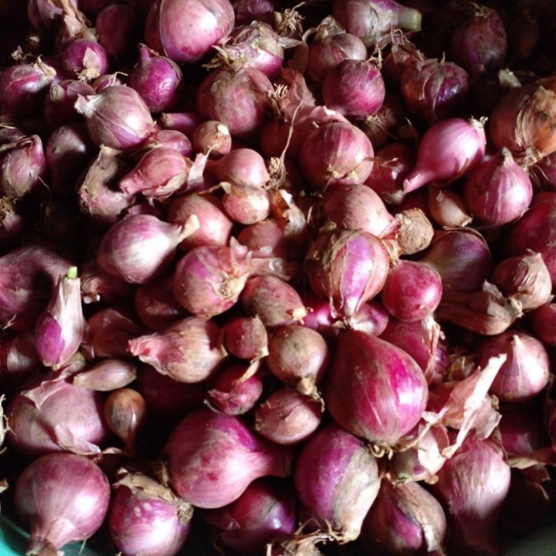 

Bawang merah lokal 1 kg