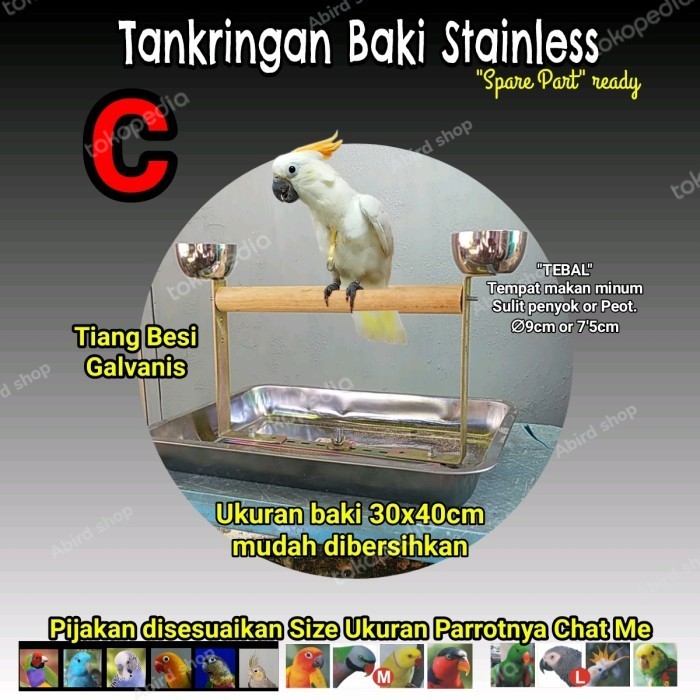 Tangkringan Burung Parrot African Grey Cockatiel Sunconure Ekonomis