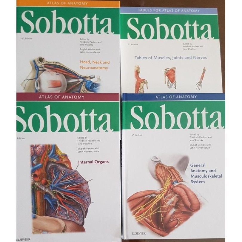 Terbaru [Original] Sobotta Atlas Of Anatomy 16E English - Istilah Latin Promo Terlaris