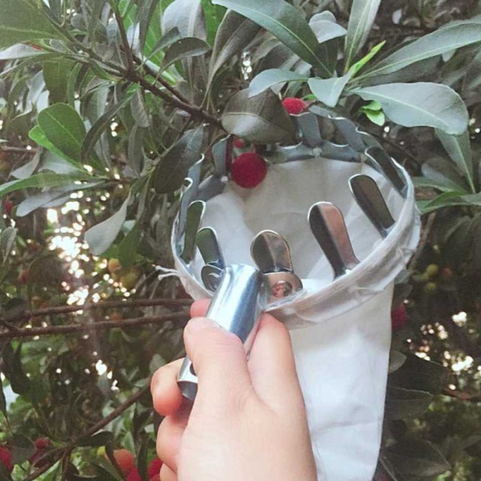 Alat Pemetik Buah Metal Fruit Picker Galah Petik Pengambil Buah Mangga