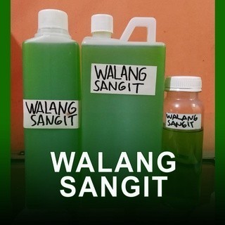 Essen Walang Sangit