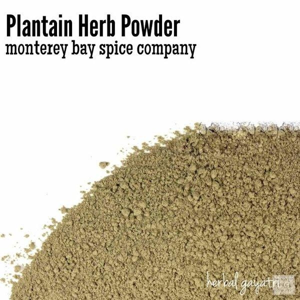 

Plantain Herb Powder 30 Gram K01