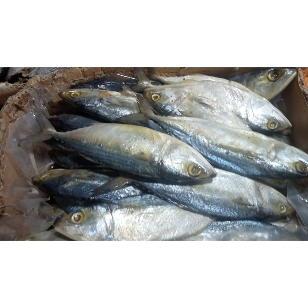 

Ikan asin peda