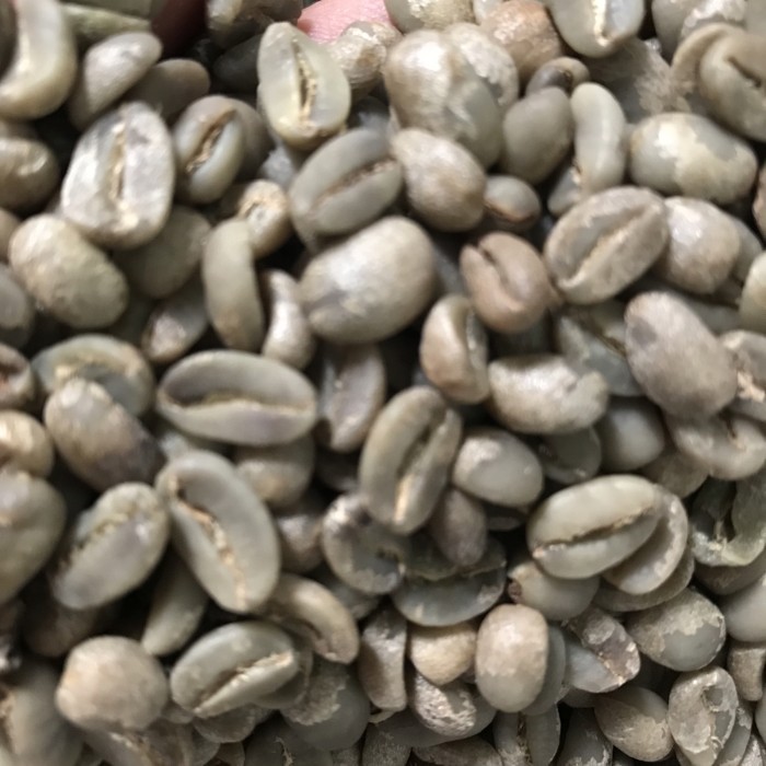 

Ready Green Bean Arabika Flores Manggarai Full Wash G1