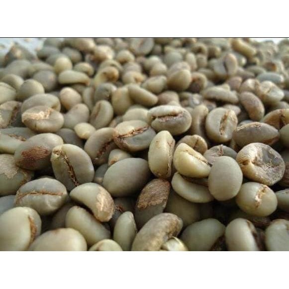 

Ready [PROMO] Green bean Kopi Robusta 1kg Mentah Belum di sortir Curah Murah