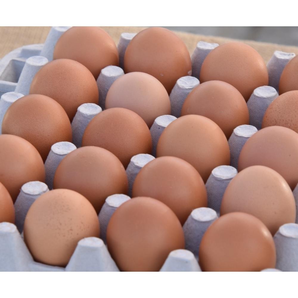 

gjk-25 TELUR AYAM NEGERI 1 KG FRESH BANDUNG CIMAHI Premium