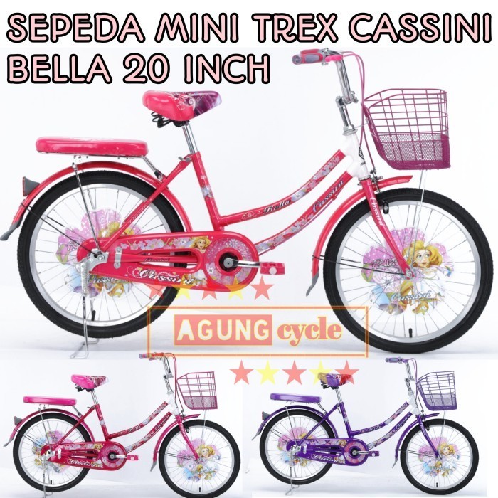 Sepeda Mini Keranjang Trex Cassini 20 8802 Interbike Anak Dewasa Cewek