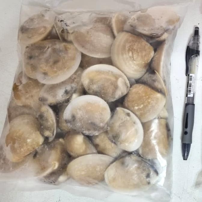 

KERANG TAHU HELF SHELL/KERANG TAHU SETENGAH CANGKANG @1KG NS99