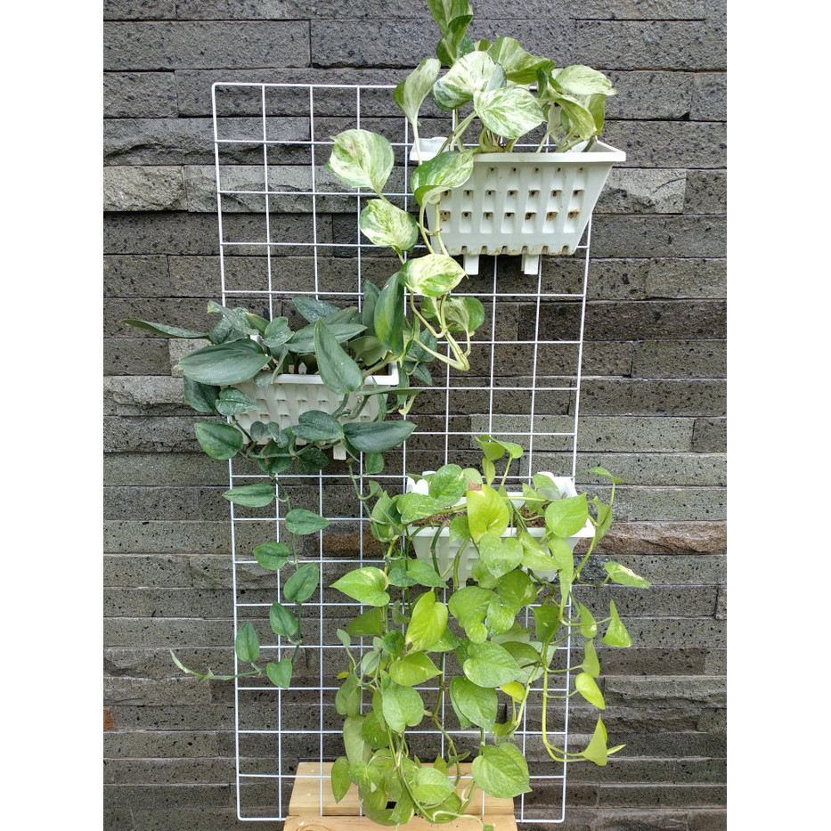 Rak Kawat / Rak Aksess Serbaguna / Rak Gantung Tanaman