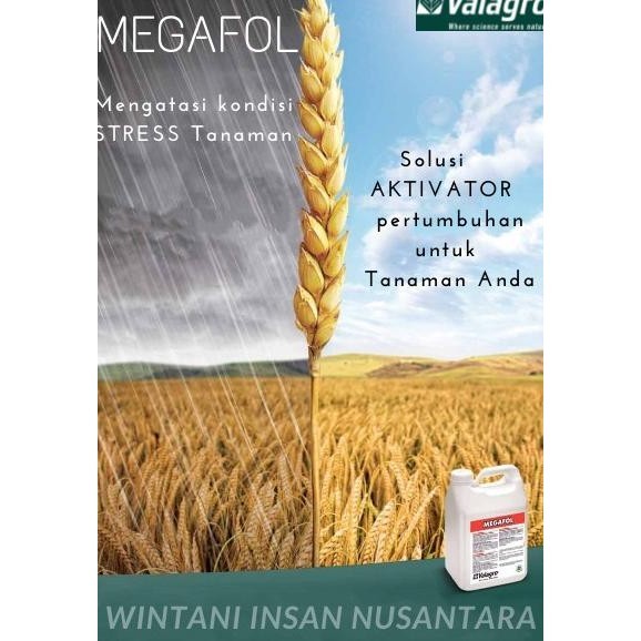 BEBAS ONGKIR - Pupuk Cair Valagro MEGAFOL Biostimulant isi 250 ml