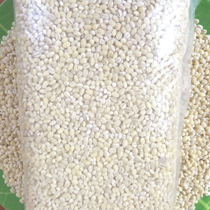 

Terlaris Biji Jali - Jali Import Product Of Holland Kemasan Netto 1Kg SALE