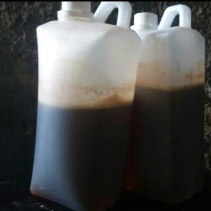 

Ready Madu Hutan Riau Raw Sialang 1kg Madu murni Asli