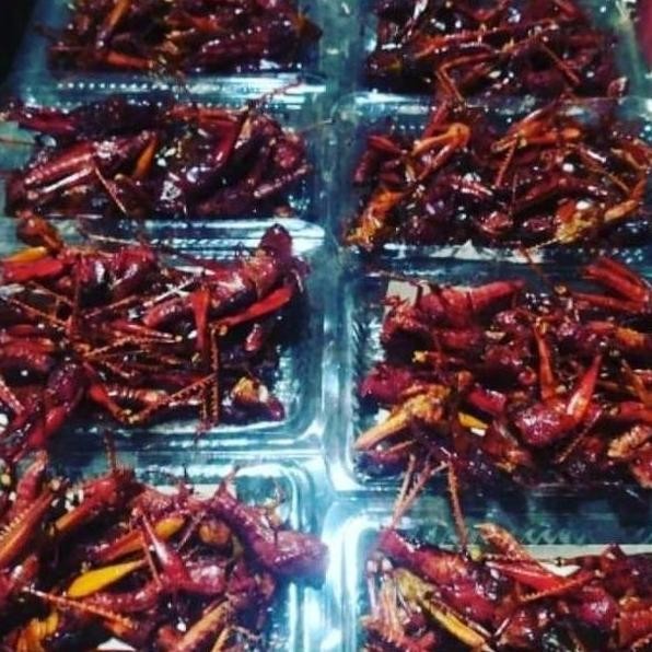 FRESH Belalang Goreng 1/2kg MS54