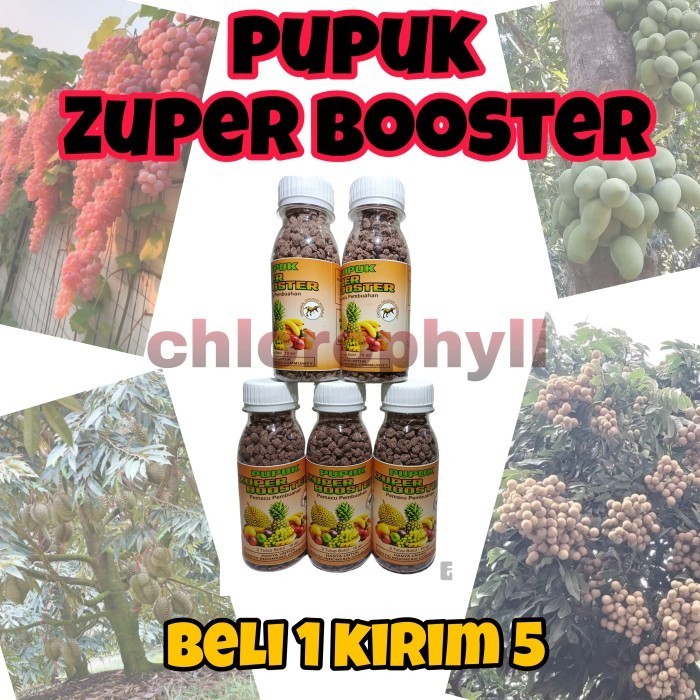 DISKON PUPUK ZUPER BOOSTER PELEBAT BUAH Beli 1 Dapat 5