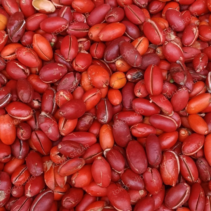 

KULIT MELINJO / SAYUR KULIT MELINJO 250GR