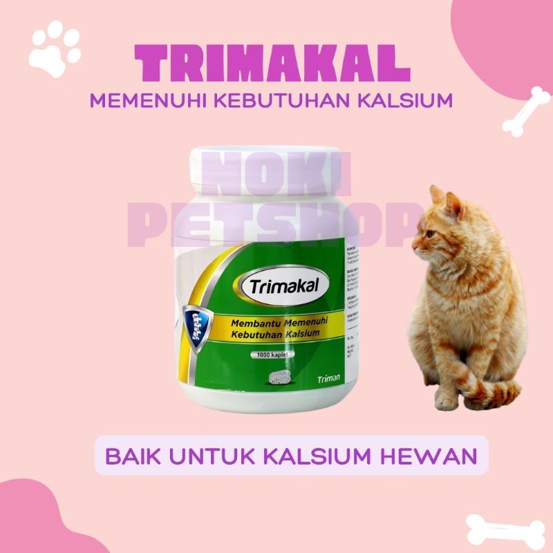[GROSIR] 1 TABLET KALSIUM KUCING VITAMIN TULANG KUCING OBAT KUCING LUMPUH SUPLEMENT TULANG IMPORT KA