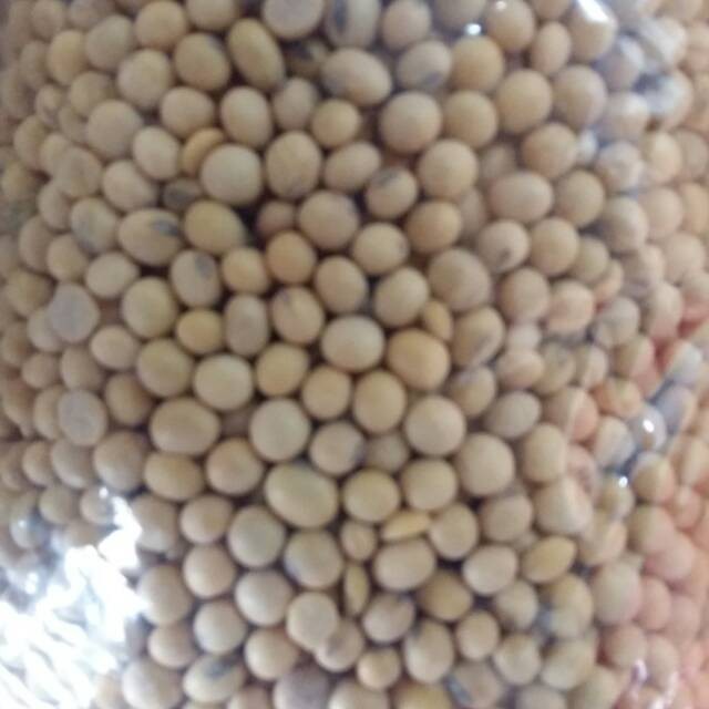 

Kacang kedelai 1kg