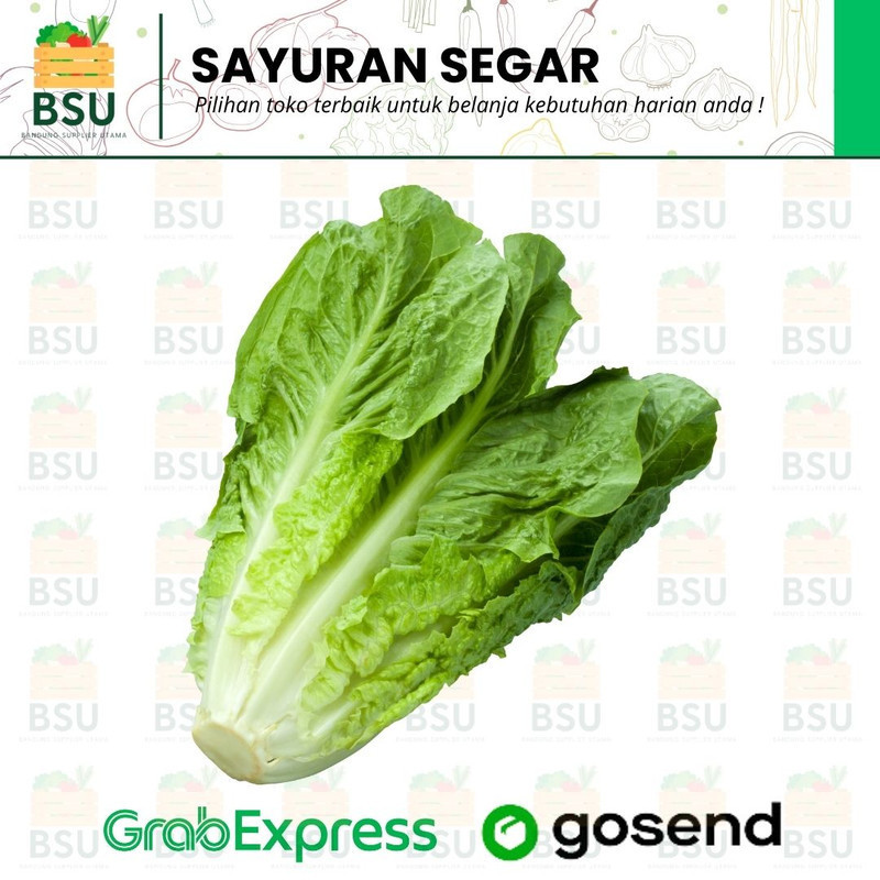 

Sayuran Segar Bandung - Selada Romaine / Selada Cos 500 gram