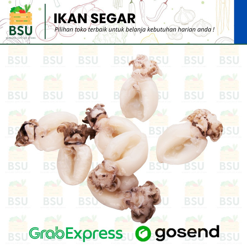 

Cumi Balakutak Segar - 250 Gram