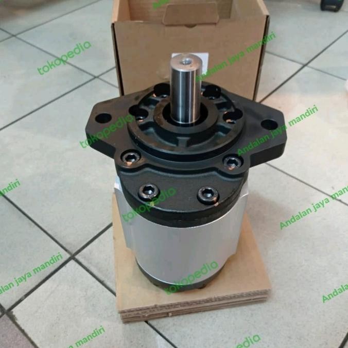 Gear Pump Jaguar Pg30-22-R-Ar / Pg-30 22Cc Jaguar