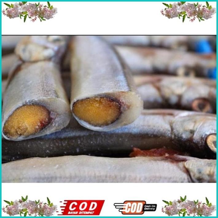 

BISMILLAH IKAN SHISAMO FULL TELUR (FEMALE) - IKAN CIPUNG - IKAN CAPELIN ALISUP