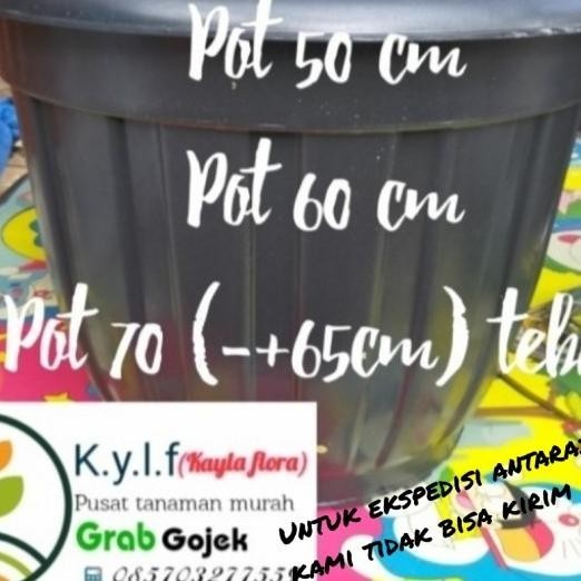 Pot Tanaman / Pot Besar / Pot Plastik 50,60 Cm 70 / Pot Hitam Besar