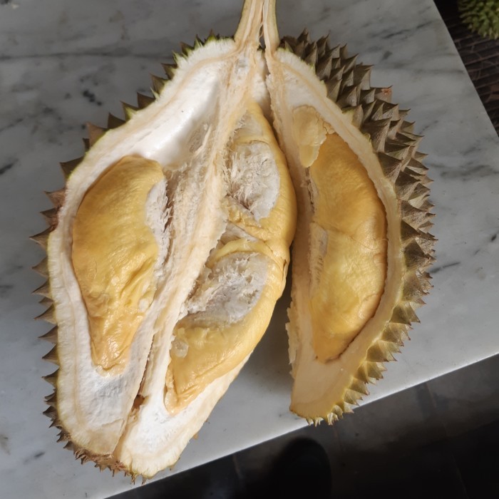 

Durian King Bawor