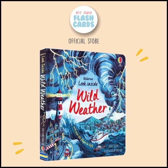 

Usborne Look Inside Wild Weather With Over 50 Flaps Children Kids Book