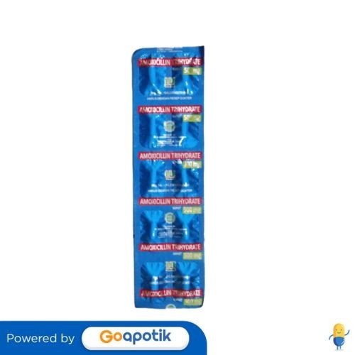 AMOXICILLIN HEXPHARM 500 MG STRIP 10 KAPLET