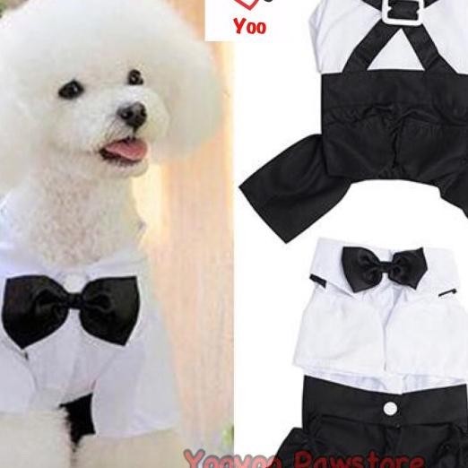 Male Dog Suit - Baju Pesta Anjing Kucing Jantan
