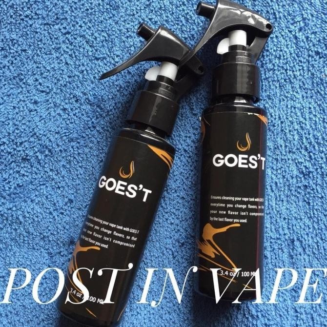 Goest Cleaner 100Ml ..P.I.V