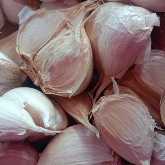 

Bawang Putih Kating Supreme 1 Kilo