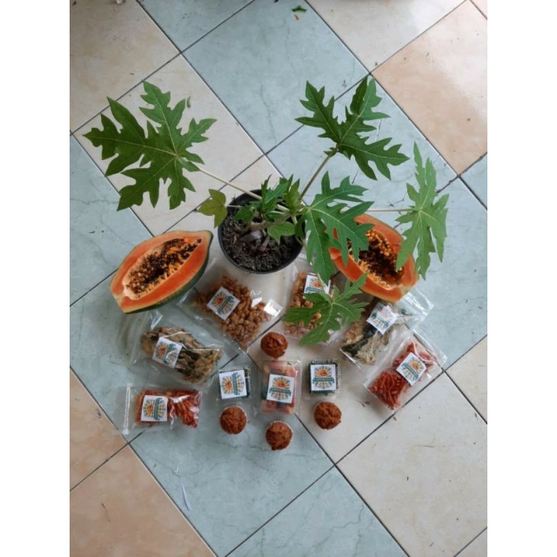 

Bolu Pepaya enek lezat