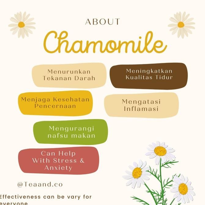 

Teh Chamomile / Teh Bunga Chamomile Kering / Dried Chamomile Tea LA