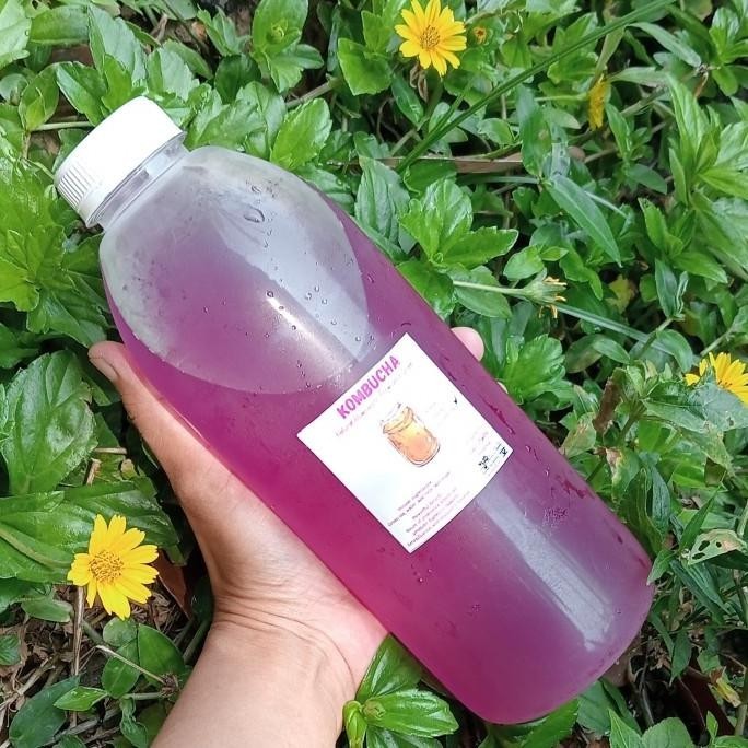 

KOMBUCHA BUTTERFLY PEA 1 LITER/ minuman fermentasi teh bunga Telang 1L LA