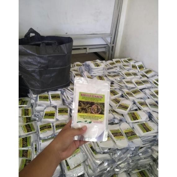 Promo Spesial Booster Kelengkeng Pupuk Buah Kelengkeng (Sodium Clorat) Zx41