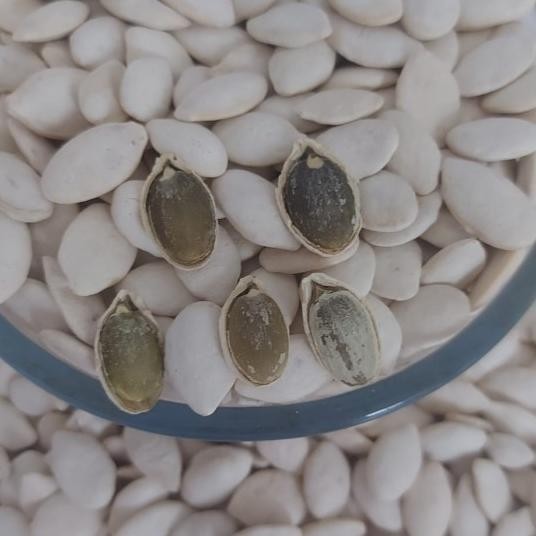 

Kuaci Putih Atau Biji Labu Asin Ringan 500Gram