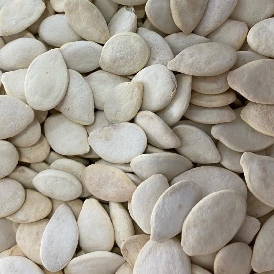 

Kuaci Putih Aci Putih Biji Labu Pumpkin Seeds 1Kg 1.000Gram