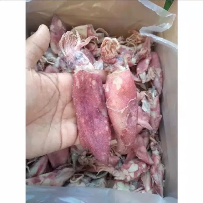 

WGN499 cumi asin kering sotong kering;1kg A9