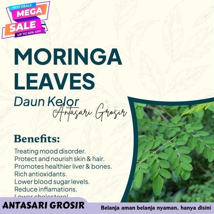 

MORINGA 25 TEA BAGS TEH DAUN KELOR 100% PURE ORGANIC PREMIUM LEAVES TERBAIK!!!!