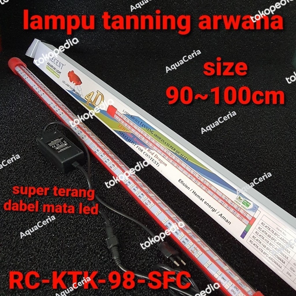 LAMPU LED TANNING ARWANA 4D KONTES QUALITY RECENT 98 SCF